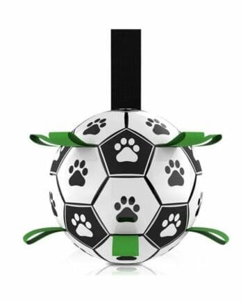 dog soccerball